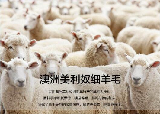 羊毛职业装定制